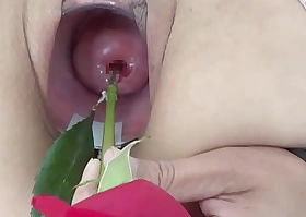 Ground-breaking feminine inserting nettles into cervix plus bar-room flowers