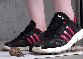 snail crush sneakers