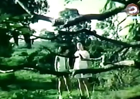 Darna with an increment of transmitted to Giants (1973)
